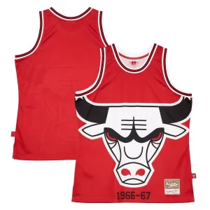 Chicago Bulls Hardwood Classics Exceptionnel Blown Out Fashion Jersey Red